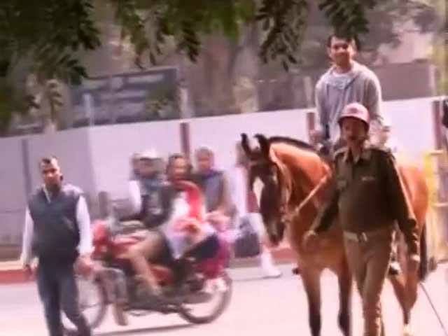 Video : Lalu Prasad's Son Tej Pratap Rides A Horse To His Official Bungalow