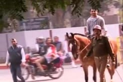 Lalu Prasad's Son Tej Pratap Rides A Horse To His Official Bungalow Lalu Prasad's Son Tej Pratap Rides A Horse To His Official Bungalow