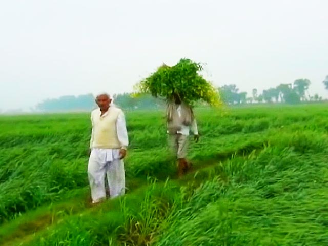 A Matter of Great Concern: Youth Doesn't Want to Take Up Farming