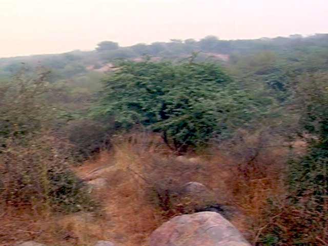 हरियाणा वन घोटाला : सूचना आयोग ने एक बार फिर प्रधानमंत्री कार्यालय से जानकारी देने को कहा