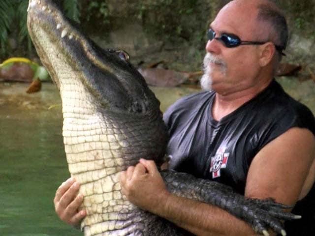 Video : Alligator Wrestlers Struggle to Keep Florida Tradition Alive