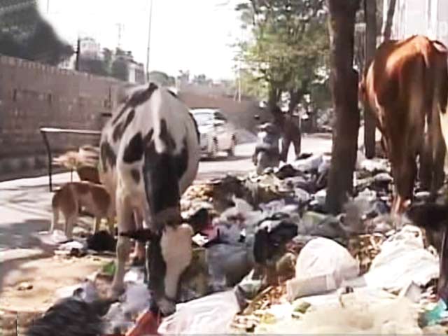 Citizens' Voice: Why Bangalore is Not for Pedestrians