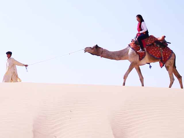 Dunes and Camels