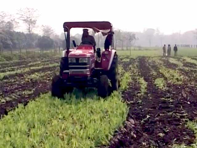 कालियाचक का अफीम कनेक्शन? 3 जनवरी को हुई थी हिंसा