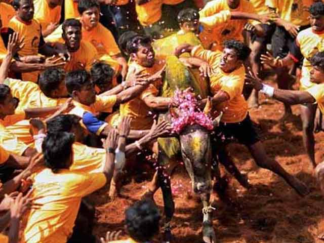 Angry Jallikattu Supporters Threaten To Boycott Tamil Nadu Polls