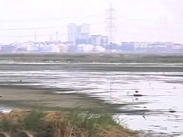 Video : Citizens' Voice: Chennai Residents Fight to Save City's Largest Freshwater Swamp