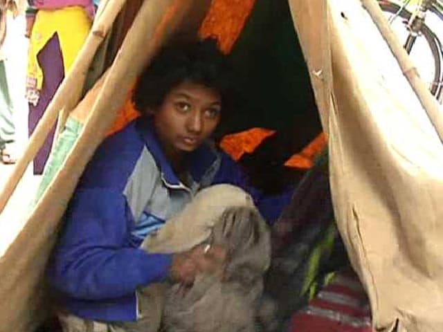 Video : Shelters And Solace For The Homeless In Delhi's Winter Chill