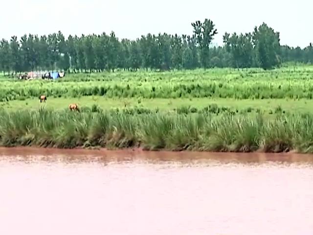 गुरदासपुर के पास बीएसएफ ने एक पाकिस्तानी घुसपैठिये को मार गिराया