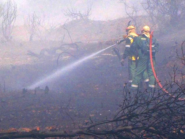 Video : South Africa: Fires Cause Devastation Across the Cape