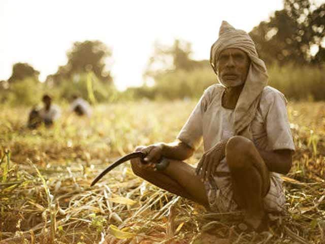 Video : Reasons Behind the Alarming Rate of Farmer Suicides in India