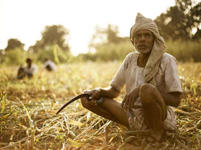 Reasons Behind the Alarming Rate of Farmer Suicides in India