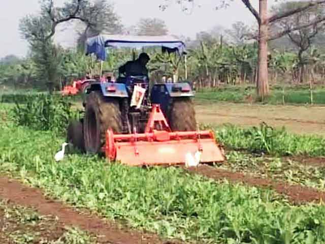 एक्सक्लूसिव : अफीम की खेती से जुड़े हैं मालदा दंगों के तार