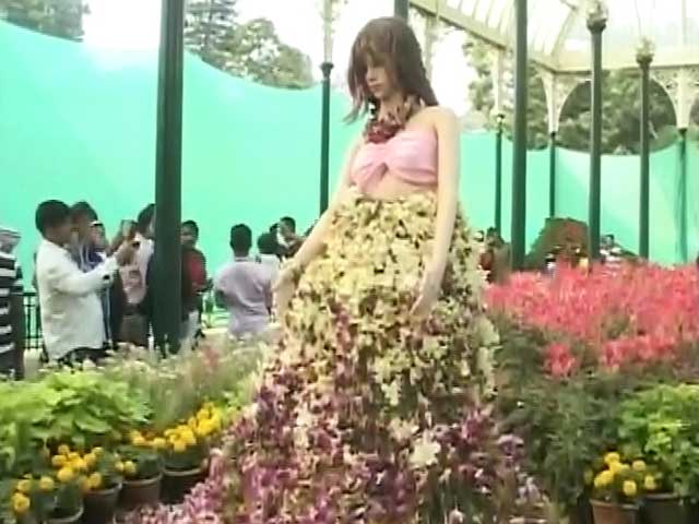 Video : Bengaluru's Flower Lovers Keep Their Date With Lalbaugh Gardens