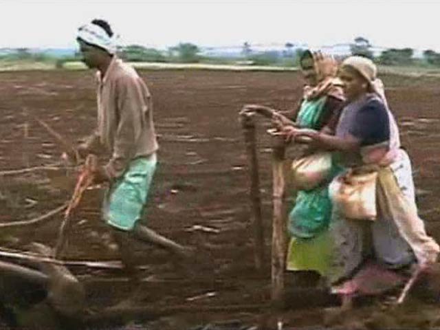 Feminization of Indian Agriculture