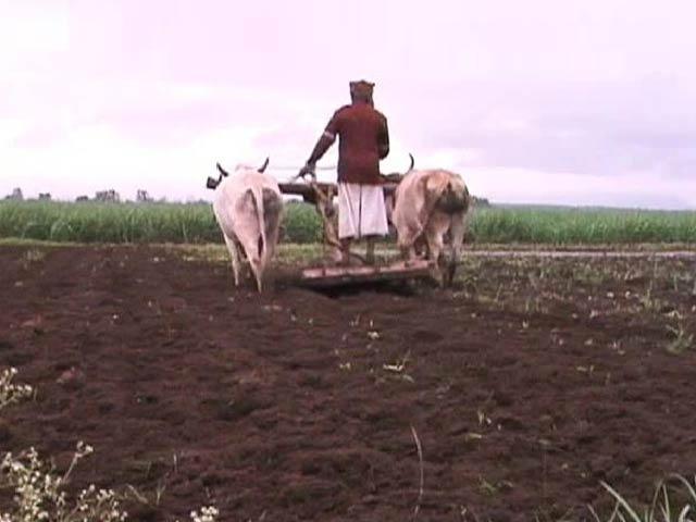 How Health Reforms Can Save Indian Farmers