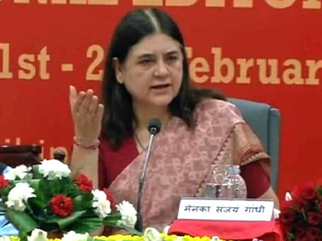 Sex Determination Test Must To Check Female Foeticide: Maneka Gandhi