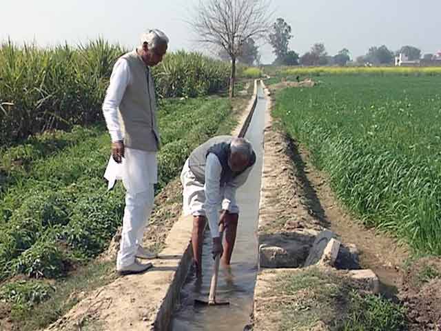 ऑर्गेनिक फ़ार्मिंग में नए प्रयोग, कम ज़मीन पर ज़्यादा पैदावार
