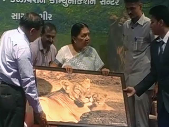 सीएम आनंदीबेन पटेल की मुश्किलें बढ़ीं, ज़मीन देने में गड़बड़ी का आरोप