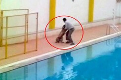 बेंगलुरु के स्कूल में घुसा तेंदुआ, 12 घंटे की मशक्कत के बाद आया पकड़ में बेंगलुरु के स्कूल में घुसा तेंदुआ, 12 घंटे की मशक्कत के बाद आया पकड़ में