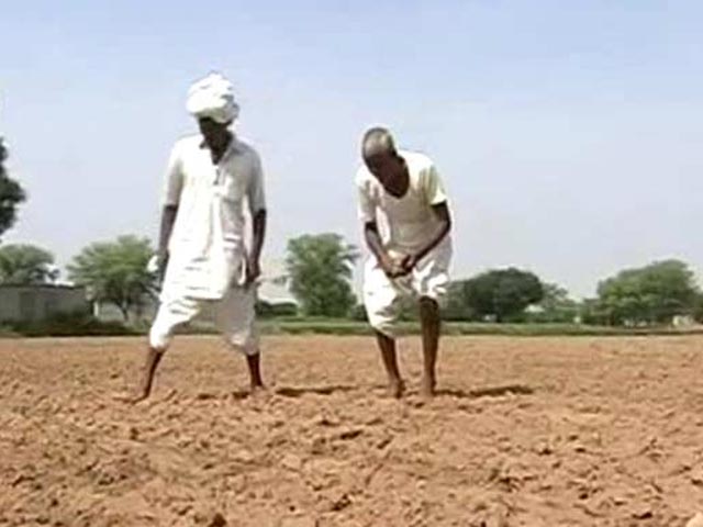 Farmer Suicides Rising in Punjab. Here's Why.