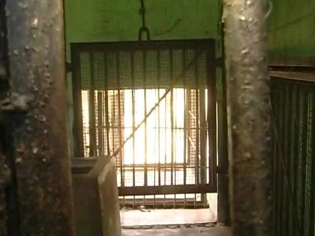 Video : Captured Leopard Escapes From Enclosure In Bengaluru