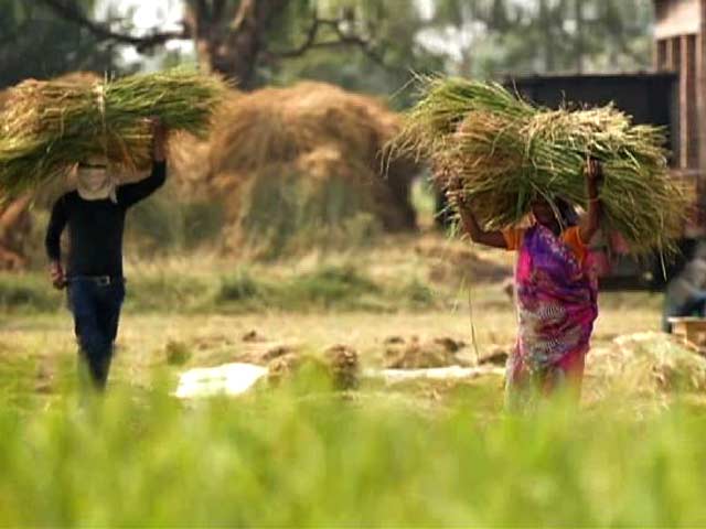Women as a Driving Force in Farm Sector: A Story