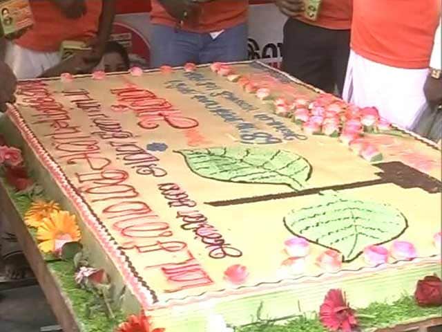 Video : Queen-Size Birthday Celebrations For Jayalalithaa. But Where Is She, Asks DMK