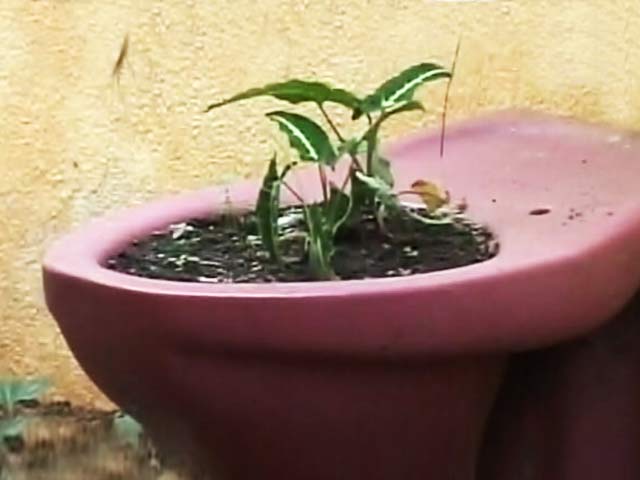 This Chennai Resident is Turning Her Neighbourhood to a Zero Waste Zone