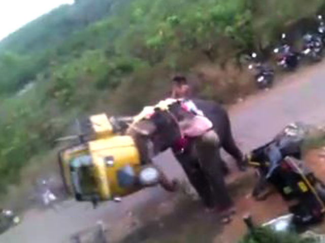 Elephant Goes Berserk In Kerala, Flings Motorbikes, Autos