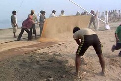For Art of Living Event On Yamuna Bank, DDA Faces The Music For Art of Living Event On Yamuna Bank, DDA Faces The Music