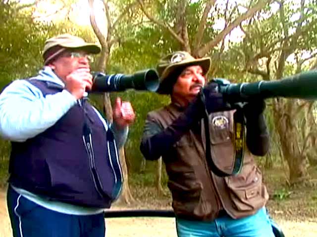 बाघ  बचाओ अभियान : दुधवा रेंज की सफारी