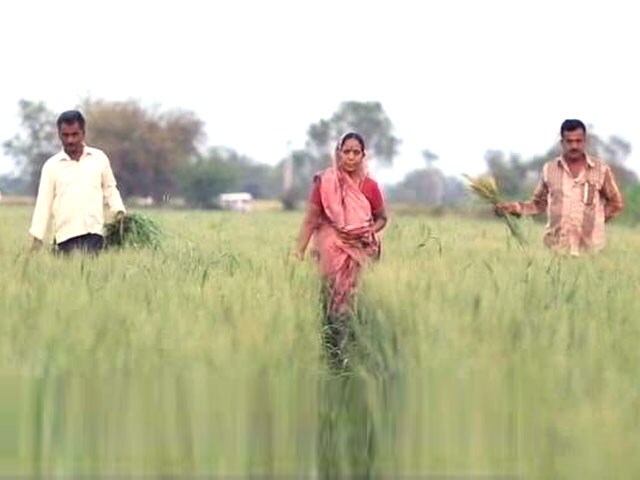 Video : Financial Crisis Being Faced by Farmers in India
