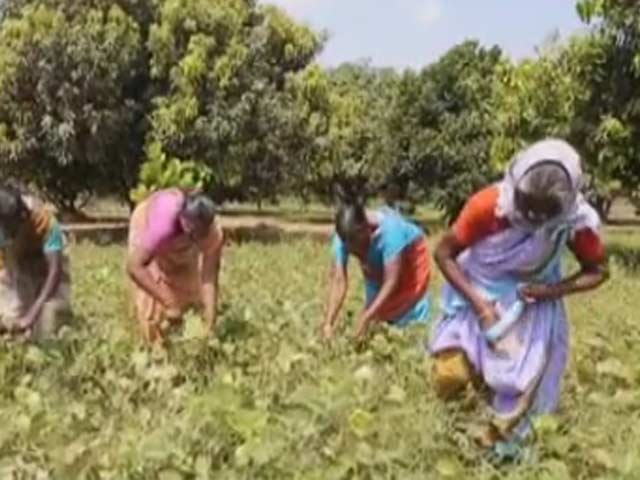Women of Worth: Meet the Nominees of Business and Environment