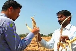 6% Water Left In Marathwada Dams, Farmers Blame Government For Suicides 6% Water Left In Marathwada Dams, Farmers Blame Government For Suicides