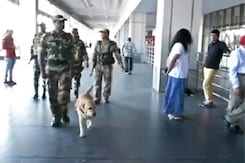 Delhi On Alert As Security Agencies Suspect Terrorists Have Sneaked In Delhi On Alert As Security Agencies Suspect Terrorists Have Sneaked In