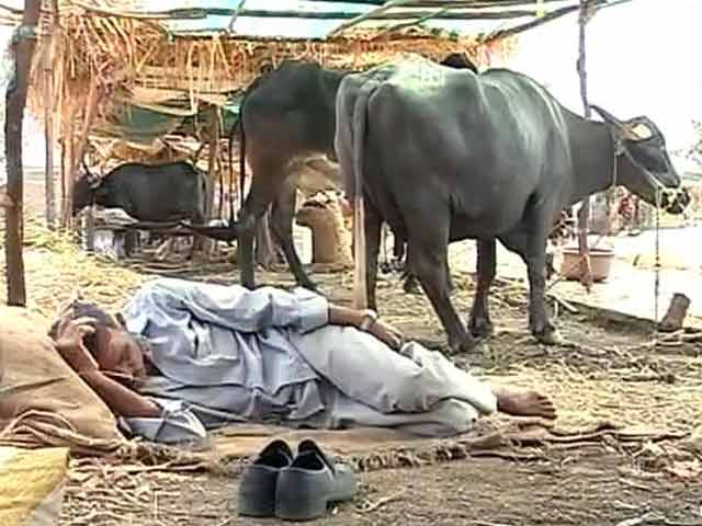 महाराष्ट्र : बीमा का पैसा समय पर नहीं मिलने से किसान परेशान