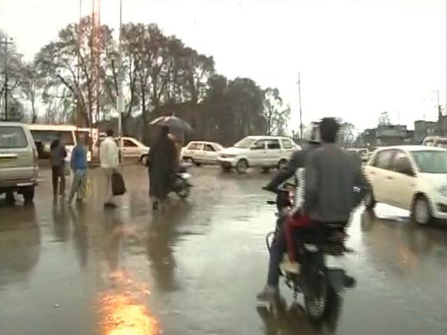 Unexpected Rain, Snow Could Damage Kashmir's Almond Crop: Experts