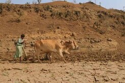 Alternative Farming Methods: A Step Towards a Brighter Future Alternative Farming Methods: A Step Towards a Brighter Future