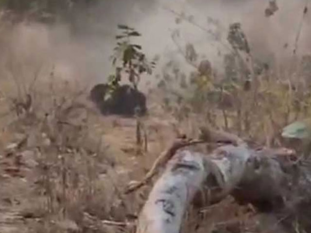 Video : 100 Bullets Used To Kill Chhattisgarh Bear, Video Released