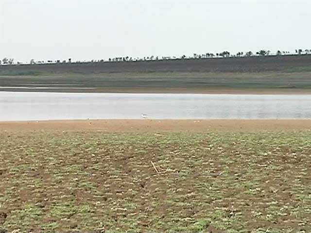 Drought-Hit Maharashtra Shuts Down Swimming Pools For 3 Months