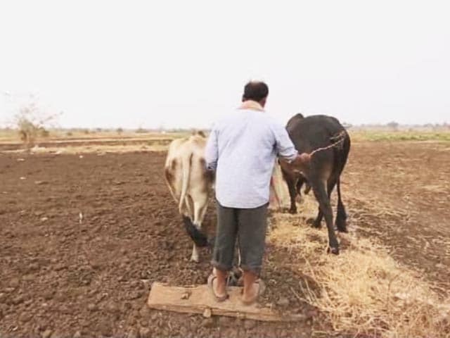 Video : Why Farmers in India Should Opt for Organic Farming