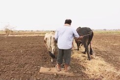 Why Farmers in India Should Opt for Organic Farming Why Farmers in India Should Opt for Organic Farming