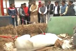 Shaktiman The Horse, Allegedly Attacked During Protest, Loses Its Leg Shaktiman The Horse, Allegedly Attacked During Protest, Loses Its Leg