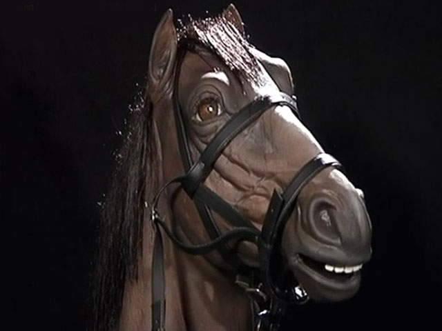 Issued in Animal Interest