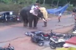 This Kerala Temple Gets Thumbs Up For Defying 'Jumbo' Tradition This Kerala Temple Gets Thumbs Up For Defying 'Jumbo' Tradition