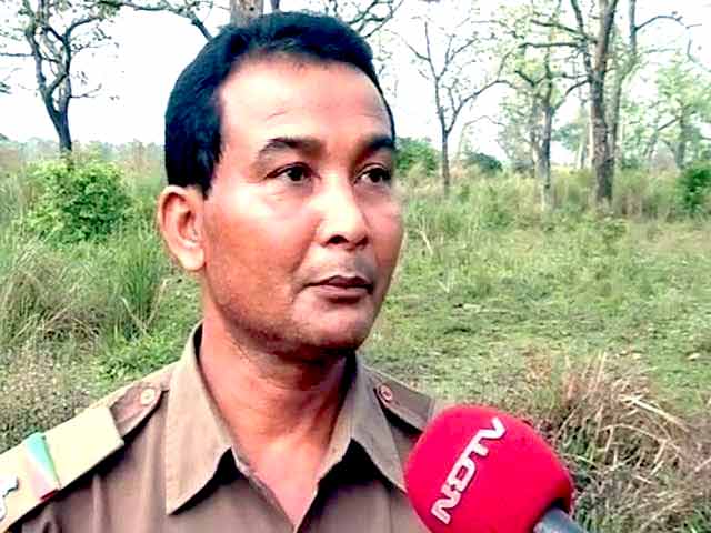 At Kaziranga, Guards Wonder If They Can Vote Through Postal Ballot