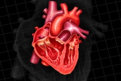 डॉक्टर ऑन कॉल : दिल की बीमारी, हार्ट ब्लॉक डॉक्टर ऑन कॉल : दिल की बीमारी, हार्ट ब्लॉक