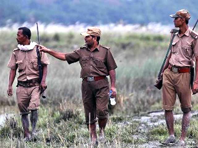 असम विधानसभा चुनाव : फॉरेस्ट गार्ड को भी चाहिए मतदान का हक़