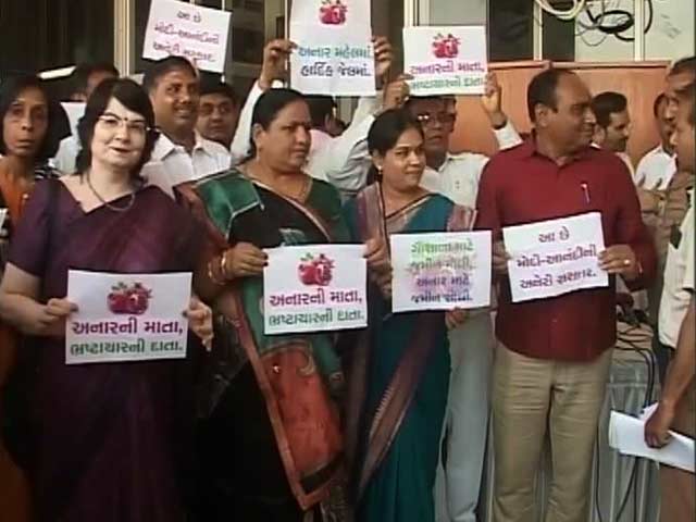 Activists, Locals Cry Foul Over Land Deal Near Gujarat's Gir Forest