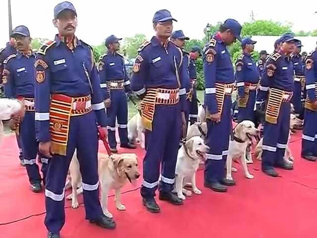 तैयार है दिल्ली पुलिस का स्पेशल डॉग स्क्वॉड